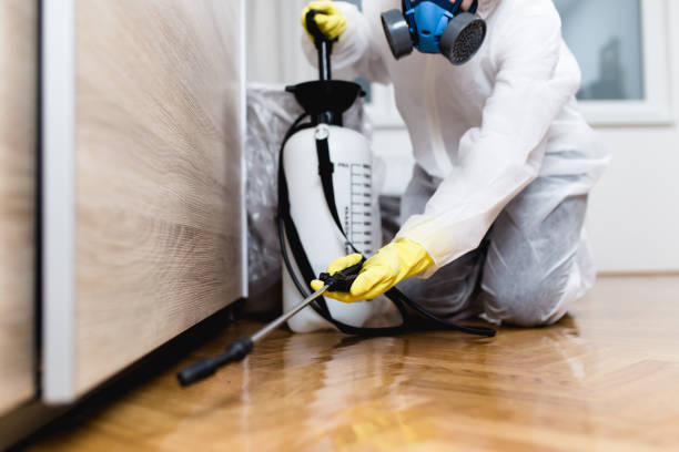 Best Ant Control Services  in Cactus, TX