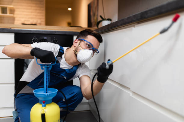 Best Best Pest Control Companies  in Cactus, TX