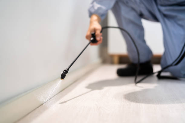 Wasp Removal Services in Cactus, TX