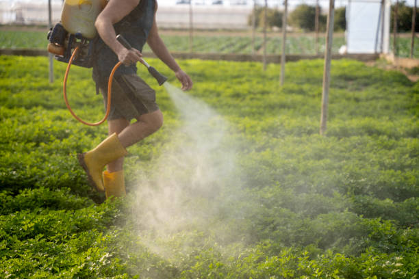 Best Flea Control Services  in Cactus, TX