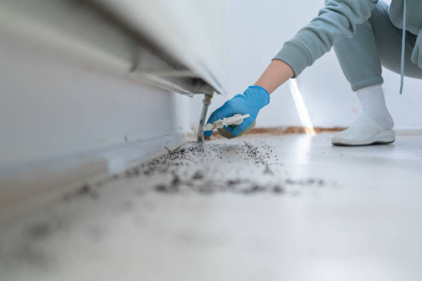 Best Affordable Pest Control Services  in Cactus, TX